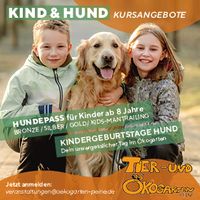 Abbildung 1-&Uuml;bersicht Kinderkurse Hund