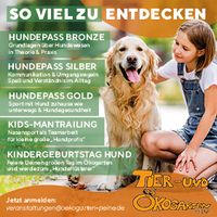 Abbildung 2-Inhalt Kinderkurse Hund